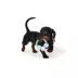 Joyhound® Puppy Ring Dog Toy image thumbnail 2