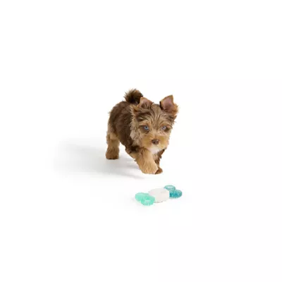 Product Joyhound® Puppy Oval Ring Dog Toy