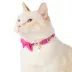 Whisker City® Pink Hearts Call Collar with Bow image thumbnail 2