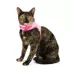 Whisker City® Pink Cat Harness and Leash image thumbnail 3