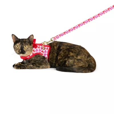Product Whisker City® Cat Harness and Leash Hearts