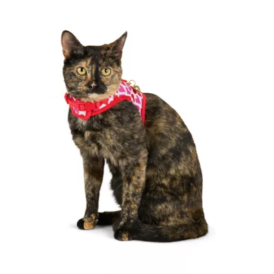 Product Whisker City® Cat Harness and Leash Hearts