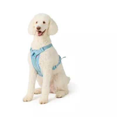 Top Paw® Dreamy Beginnings Blue/Teal Harness - Image 2