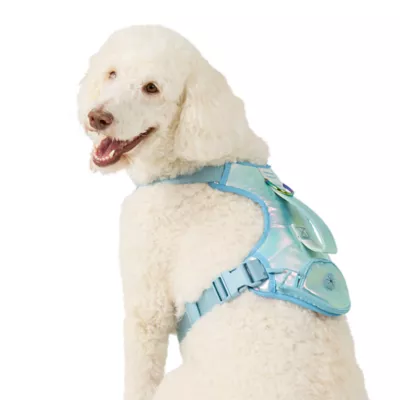 Top Paw® Dreamy Beginnings Blue/Teal Harness - Image 1