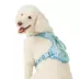 Top Paw® Dreamy Beginnings Blue/Teal Harness image thumbnail 1
