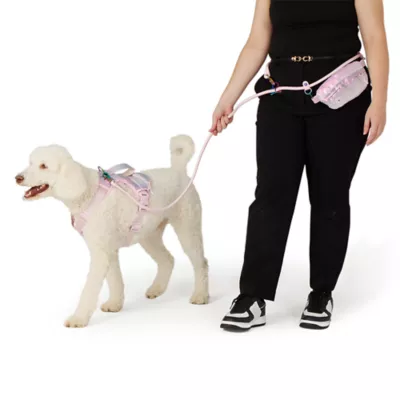 Product Top Paw® Dreamy Beginnings Leash: Up to 8 ft long