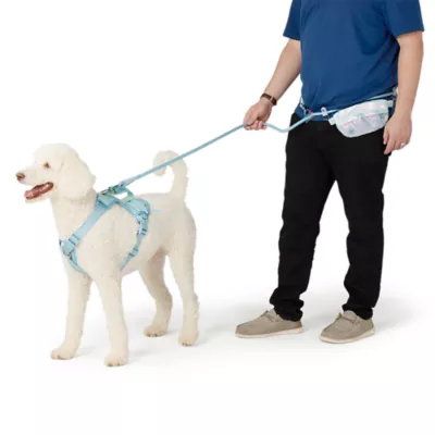 Product Top Paw® Dreamy Beginnings Leash: Up to 8 ft long