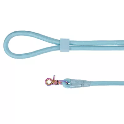 Product Top Paw® Dreamy Beginnings Leash: Up to 8 ft long