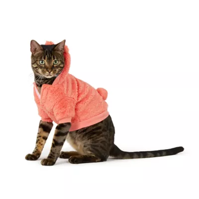 Top Paw® Dreamy Beginnings Bear - Image 2