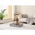 Arlee Home & Pet ThermaTec Cooling Mod Sofa Memory Foam Pet Bed image thumbnail 2