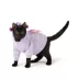 Top Paw® Dreamy Beginnings Butterfly image thumbnail 2