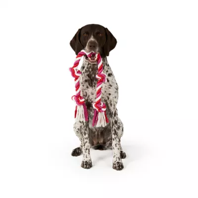 Product Joyhound® Valentines Day Rope Dog Toy