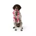 Joyhound® Valentines Day Rope Dog Toy image thumbnail 2