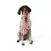 Joyhound® Valentines Daiy Rope Monkey Fist Dog Toy image thumbnail 2