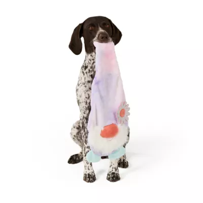 Product Joyhound® Dreamy Beginnings Flattie Gnome