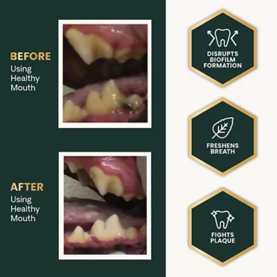 Product VetriScience Dental Care