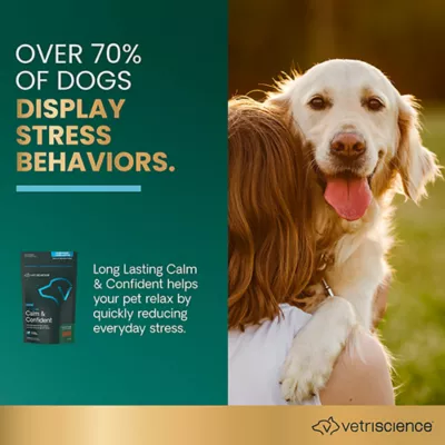 Product VetriScience Dog Calm and Confident Long Lasting