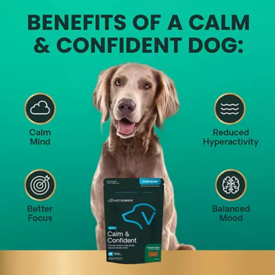 Product VetriScience Dog Calm and Confident Long Lasting