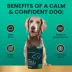 VetriScience Dog Calm and Confident Long Lasting image thumbnail 7