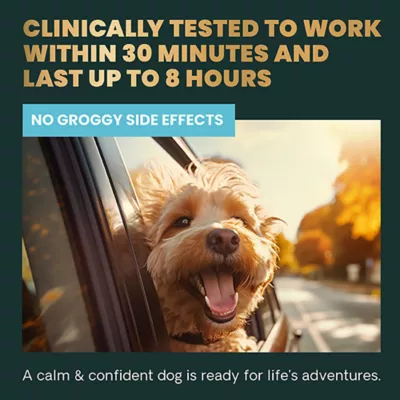 Product VetriScience Dog Calm and Confident Long Lasting