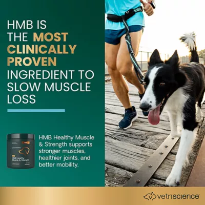 Product VetriScience Dog HMB (Muscle and Joint Support)