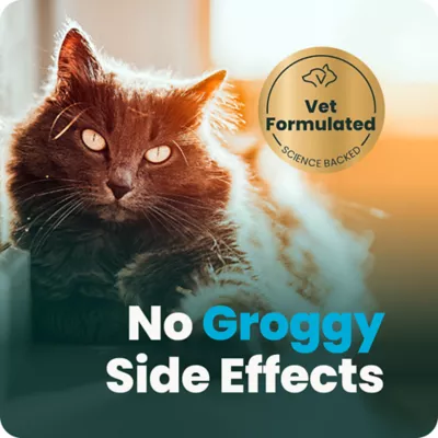 VetriScience Cat Calm & Confident Supplement, Calming Aid, Chicken Flavor Soft Chew, 30 ct - Image 8