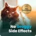 VetriScience Cat Calm & Confident Supplement, Calming Aid, Chicken Flavor Soft Chew, 30 ct image thumbnail 8