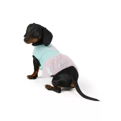 Top Paw® Dreamy Beginnings Star Dress - Image 1