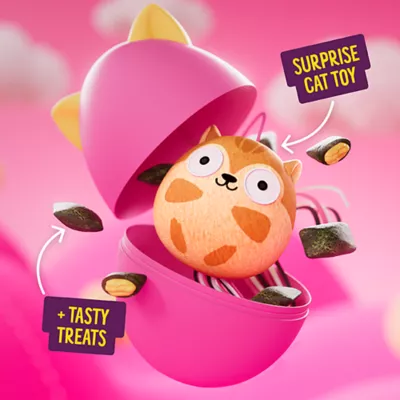 Product BONKERS Surprise Catnip Flavor Cat Treats with Cat Toy