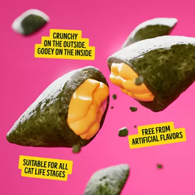 Product BONKERS Surprise Catnip Flavor Cat Treats with Cat Toy