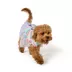 Top Paw® Dreamy Beginnings Dress image thumbnail 1