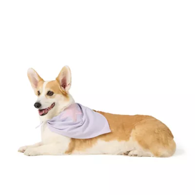 Top Paw® Star Bandana - Image 2
