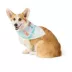 Top Paw® Star Bandana image thumbnail 1