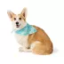 Top Paw® Star Bandana image thumbnail 2