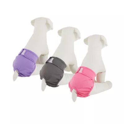 Top Paw® Female Reusable Dog Diapers - Solid Colors - 3 Count - Image 1