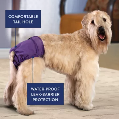 Top Paw® Female Reusable Dog Diapers - Solid Colors - 3 Count - Image 3