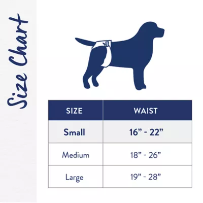 Top Paw® Female Reusable Dog Diapers - Stylish Dog Diapers - 3 Count - Image 3