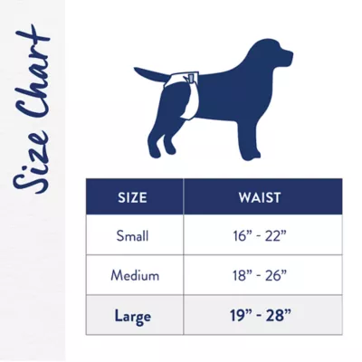Top Paw® Female Reusable Dog Diapers - Stylish Dog Diapers - 3 Count - Image 3