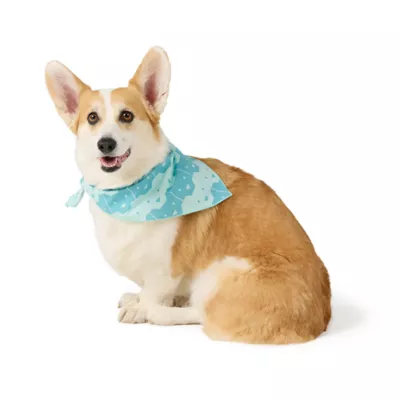Product Top Paw® Star Bandana