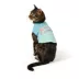 Top Paw® Pawsitive Tee image thumbnail 2