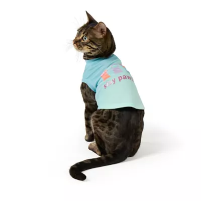 Product Top Paw® Pawsitive Tee