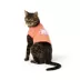 Top Paw® Cuddle Tee image thumbnail 2
