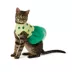 Top Paw® St Patty Shamrock Dress image thumbnail 2