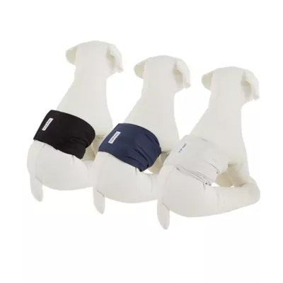 Top Paw® Male Reusable Dog Diapers - Male Wraps - Solid Colors - 3 Count - Image 1