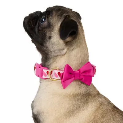 Top Paw® Valentines Day Dog Collar - Image 1