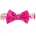 Top Paw® Valentines Day Dog Collar image thumbnail 2