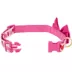 Top Paw® Valentines Day Dog Collar image thumbnail 5