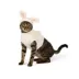 Top Paw® Easter Bunny Hoodie image thumbnail 2