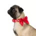 Top Paw® Valentines Day White Hearts Collar image thumbnail 1