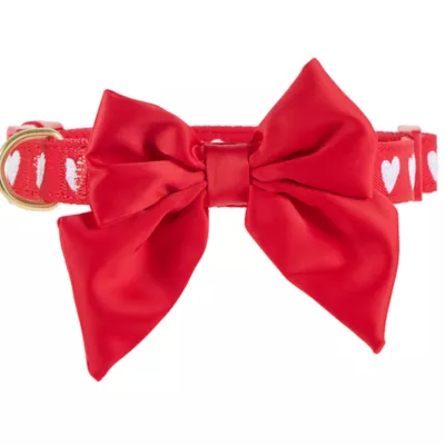 Product Top Paw® Valentines Day White Hearts Collar